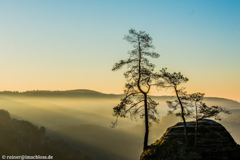 Morgennebel