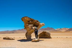 Unter dem Arbol de Piedra, dem steinernen Baum, in Bolivien