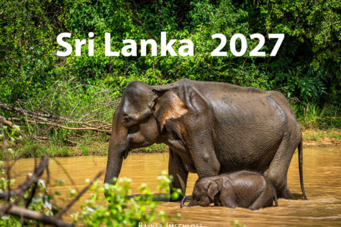 imschloss-de-kalender-2027-sri-lanka-00