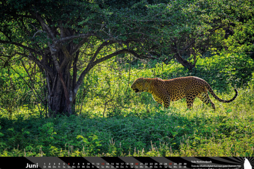 imschloss-de-kalender-2027-sri-lanka-06