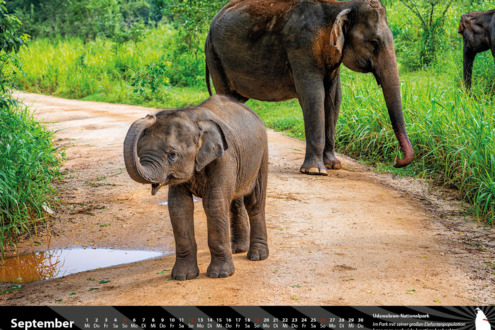 imschloss-de-kalender-2027-sri-lanka-09