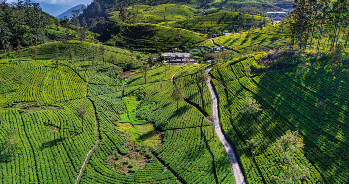 imschloss-de-kalender-2027-sri-lanka-10